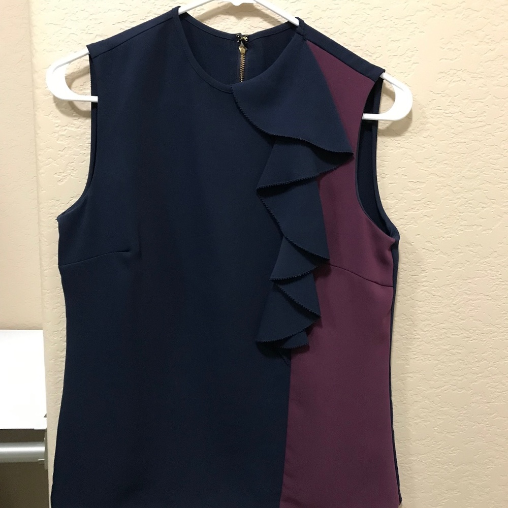 The Limited Sleveless Dress Blouse